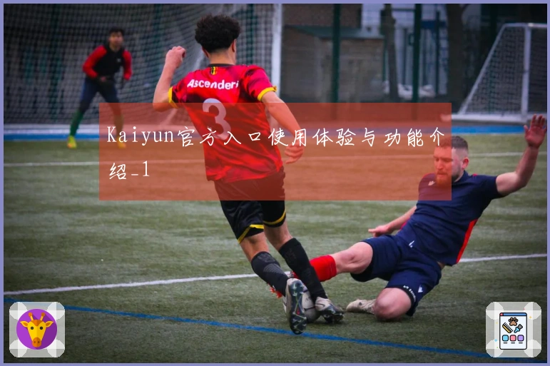 Kaiyun官方入口使用体验与功能介绍_1