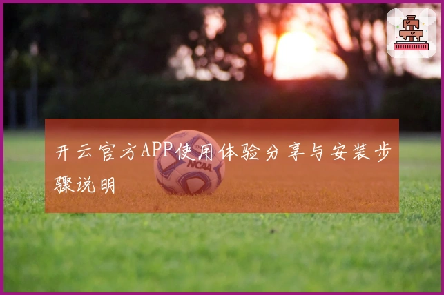 开云官方APP使用体验分享与安装步骤说明