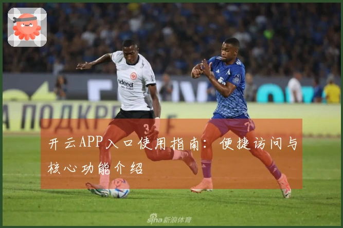 开云APP入口使用指南：便捷访问与核心功能介绍